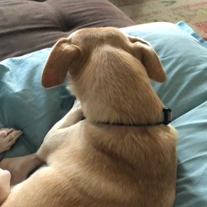 Meet your Posher, Bobbi